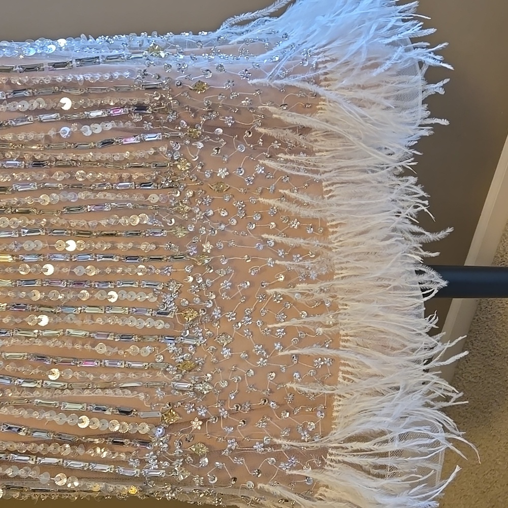 Jovani Gold and Silver Embellished Dress Feathers (Ivory/Nude) Sz 6 NWT - Picture 3 of 16